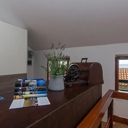 Dalmatinska Kuca Za Odmor