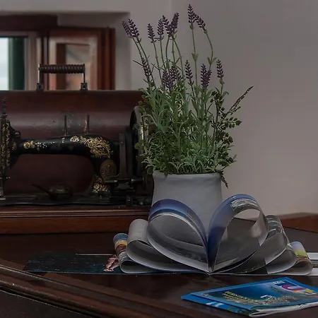 Dalmatinska Kuca Za Odmor Prázdninový dům Tučepi